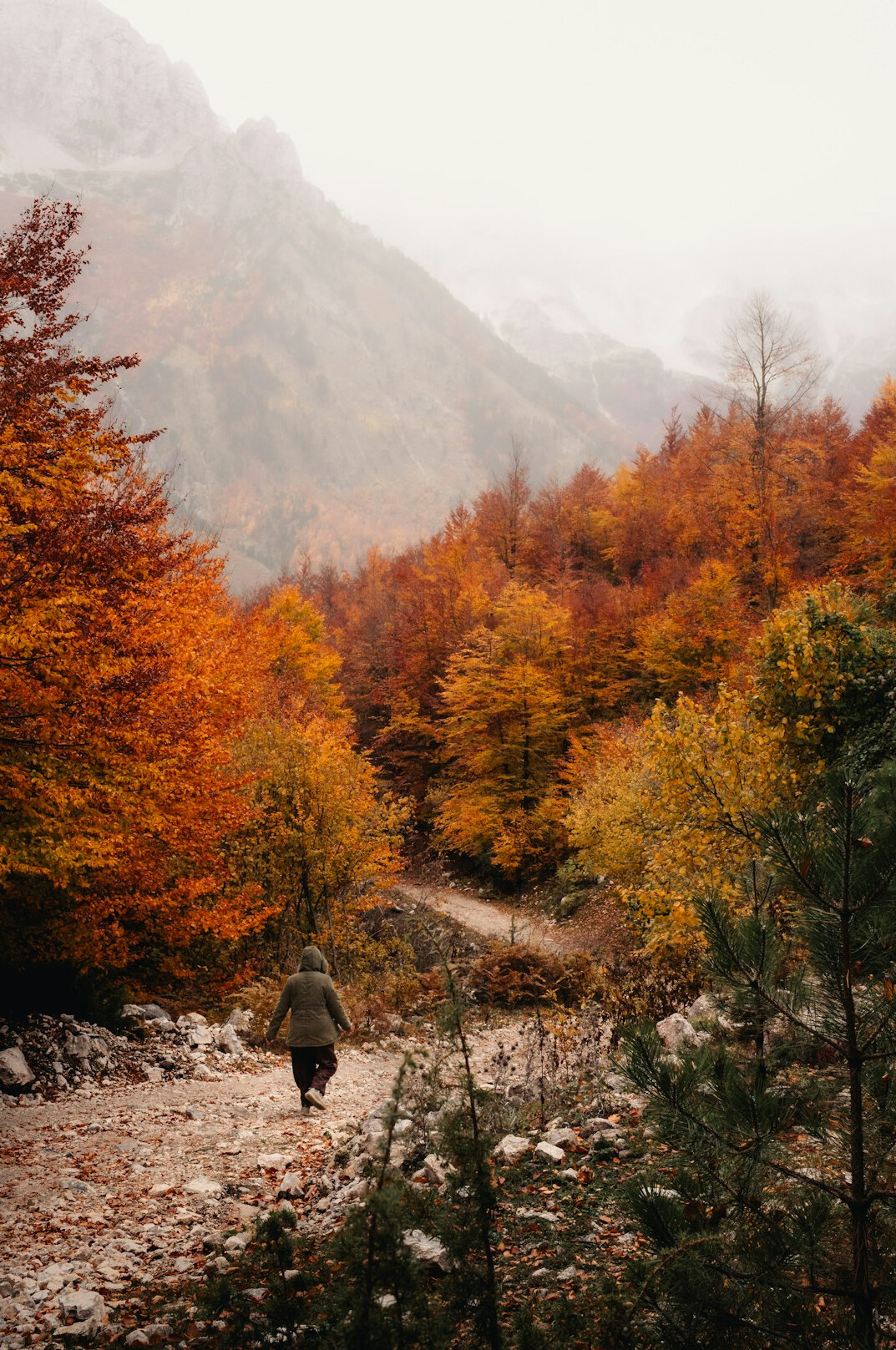 serene person in nature